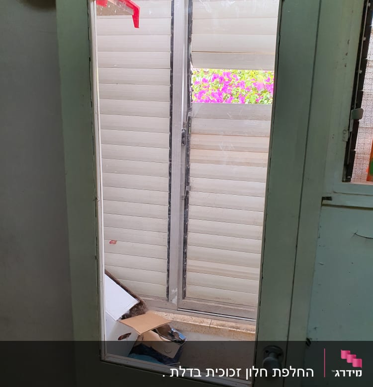 דלת זכוכית עם נוף חיצוני של תריסים ופרחים